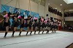 Dcim5257/DSC_4869