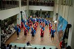 Dcim5258/DSC_4947