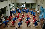 Dcim5258/DSC_4964