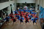 Dcim5259/DSC_5029