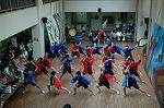 Dcim5259/DSC_5033