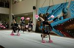 Dcim5259/DSC_5141