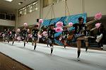 Dcim5260/DSC_5146