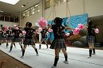 Dcim5260/DSC_5162