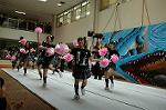 Dcim5260/DSC_5200