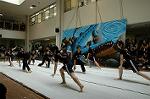 Dcim5260/DSC_5260