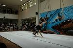 Dcim5260/DSC_5262