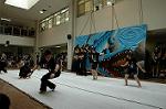 Dcim5260/DSC_5270
