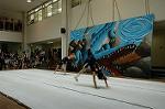 Dcim5261/DSC_5280