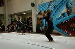 Dcim5261/DSC_5288