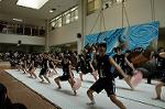 Dcim5261/DSC_5290