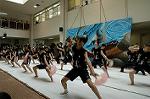 Dcim5261/DSC_5293