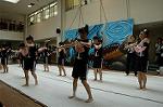 Dcim5261/DSC_5294