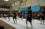 Dcim5261/DSC_5296