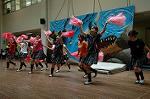 Dcim5261/DSC_5322