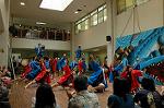 Dcim5261/DSC_5336