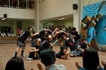 Dcim5261/DSC_5337