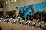 Dcim5261/DSC_5346