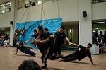 Dcim5261/DSC_5352