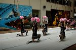 Dcim5261/DSC_5384