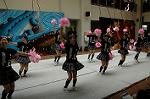 Dcim5261/DSC_5404