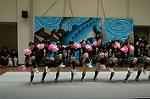 Dcim5262/DSC_5423