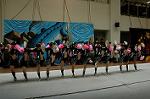 Dcim5262/DSC_5428