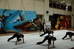 Dcim5262/DSC_5443