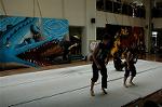Dcim5262/DSC_5445