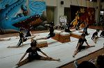 Dcim5262/DSC_5490