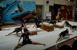 Dcim5262/DSC_5495