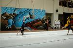 Dcim5262/DSC_5528