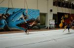 Dcim5262/DSC_5537
