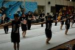 Dcim5263/DSC_5558