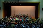 Dcim5263/DSC_5618