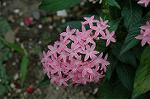 Dcim5264/DSC_5766