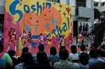 Dcim5265/DSC_5874