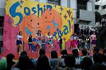Dcim5265/DSC_5903