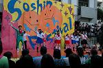 Dcim5265/DSC_5917