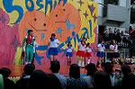 Dcim5265/DSC_5919