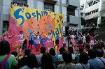Dcim5265/DSC_5933