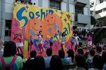 Dcim5265/DSC_5940