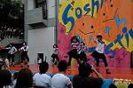 Dcim5266/DSC_6041