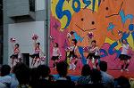 Dcim5266/DSC_6088