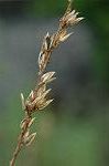 Dcim5267/DSC_6212