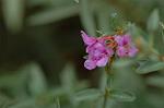 Dcim5268/DSC_6304