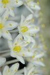 Dcim5269/DSC_6359