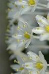 Dcim5269/DSC_6373