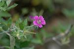 Dcim5269/DSC_6428