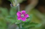 Dcim5269/DSC_6430